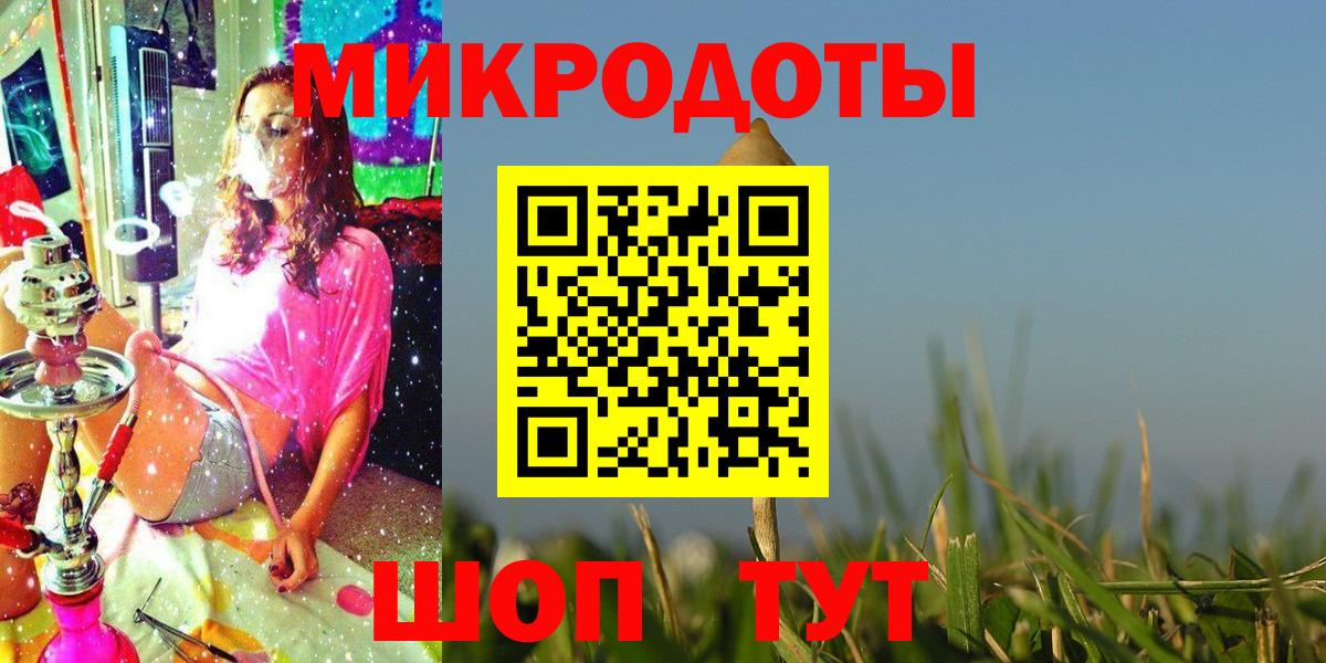 Галлюциногенные грибы Psilocybe Октябрьский